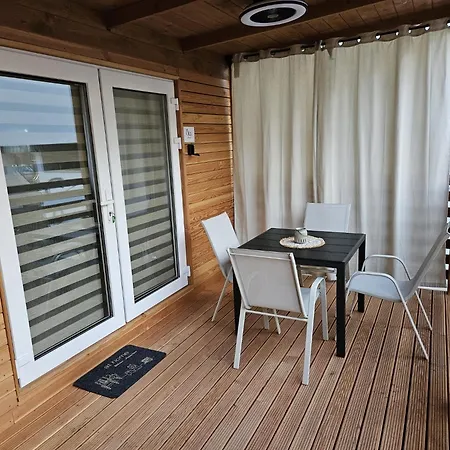 Olea Daire