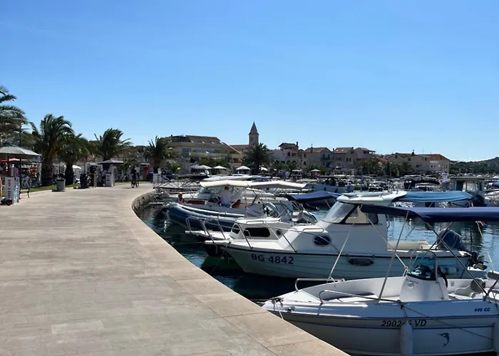 Olea * Pakoštane