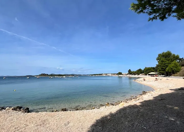 Olea * Pakoštane