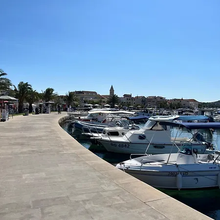 Olea * Pakoštane