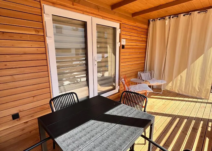 Olea * Пакоштане