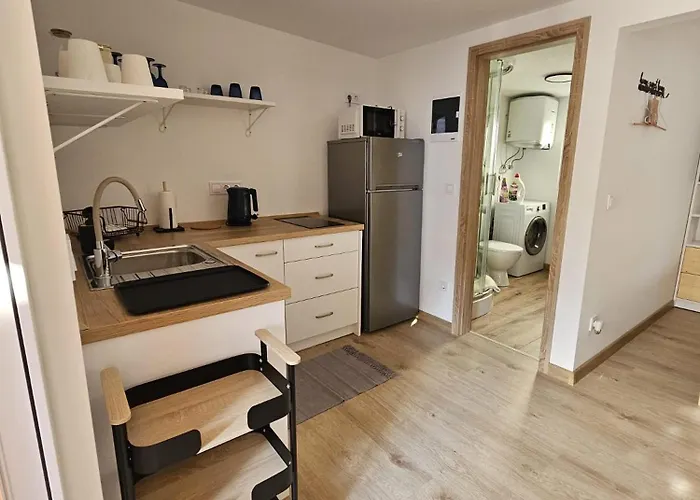 Olea Пакоштане