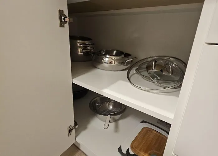 Olea Пакоштане